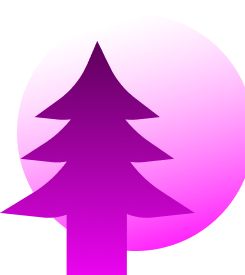 Transparent Reporting Icon